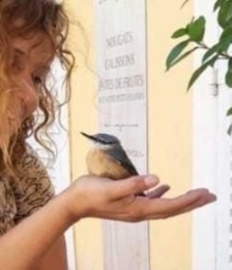 Christine Rocher Le Lavandou, Professionnel indépendant
