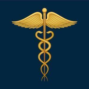 Aicardi Marie  Barjols, Professionnel indépendant